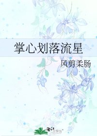 掌心划落流星