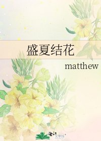 《盛夏结花》