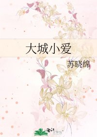《大城小爱》