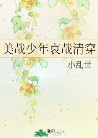 《美哉少年哀哉清穿》