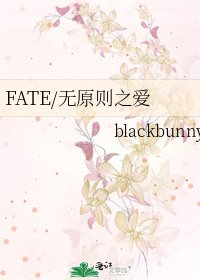 《FATE/无原则之爱》