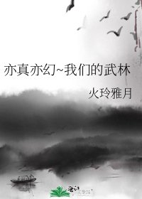 《亦真亦幻~我们的武林》