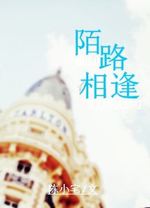 《陌路相逢》