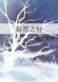 《秦晋之好》