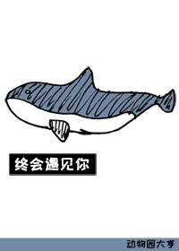 《终会遇见你》