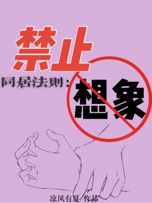 《禁止想象》