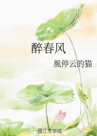 《醉春风》