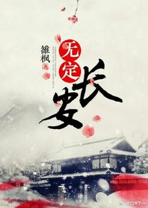 《无定长安》