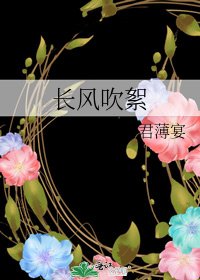 《长风吹絮》