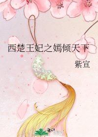 《西楚王妃之嫣倾天下》