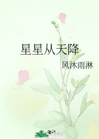 《星星从天降》