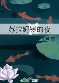 《苏拉姆镇的夜》