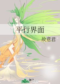 《平行界面》