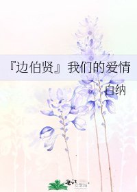 《边伯贤中韩恋》