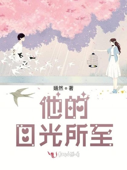 《他的目光所至》