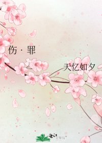 《伤•罪》
