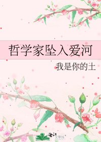 《哲学家坠入爱河》