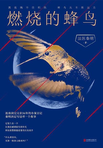 《燃烧的蜂鸟(出书版)》