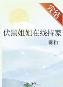 《(综漫同人)伏黑姐姐在线持家》