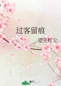 《过客留痕》