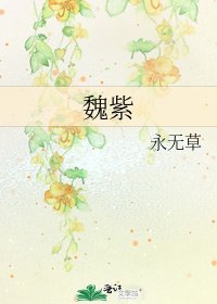 《魏紫》