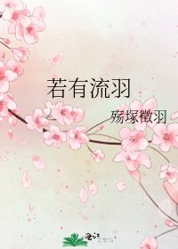《若有流羽》