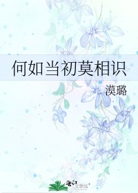 《何如当初莫相识》