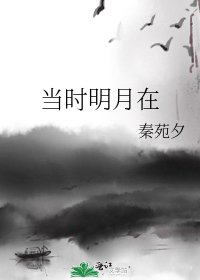 《当时明月在》