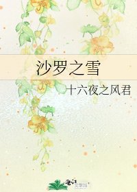 《沙罗之雪》