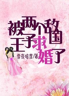 《被两个敌国王子求婚了》