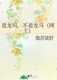 是龙玛，不是龙马（网王）