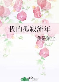 《我的孤寂流年》
