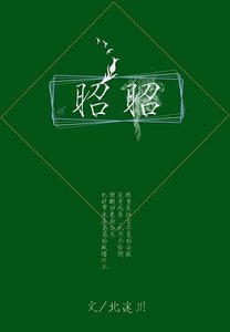 《昭昭》