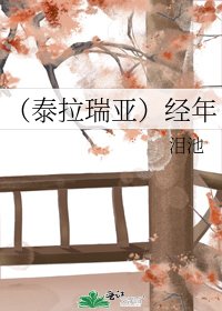 （泰拉瑞亚）经年