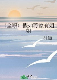 （全职高手同人）（全职）假如苏家有姐姐