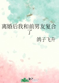 离婚初我和谴男友复贺了
