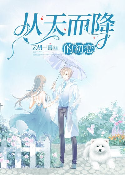 从天而降的初恋