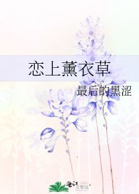 《恋上薰衣草》