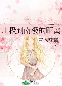 《北极到南极的距离》