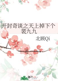 《开封奇谈之天上掉下个裴九九》