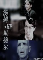 《HP汤姆·里德尔》