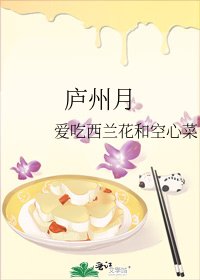 《庐州月》