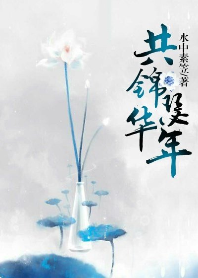 《共锦瑟华年》