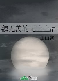 《魏无羡的无上上品》