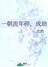 《一朝流年碎,成劫》