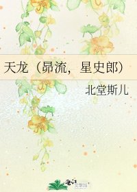 《天龙(昴流,星史郎)》