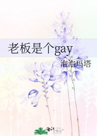 《老板是个gay》