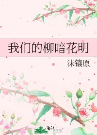 《我们的柳暗花明》