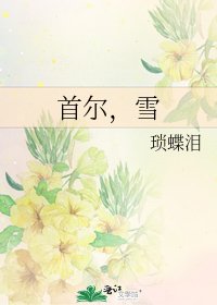 《首尔,雪》
