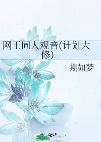 《网王同人观音(计划大修)》